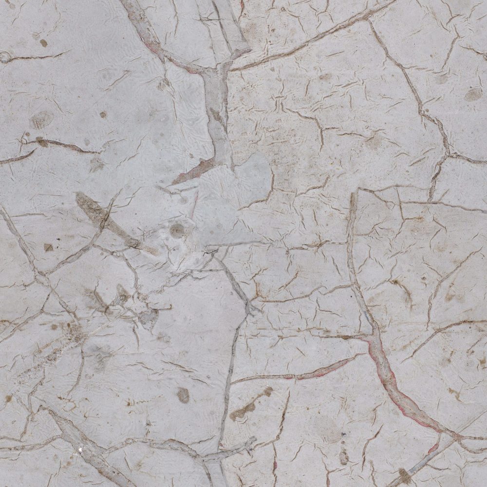 Seamless texture of gray cracked plaster layer